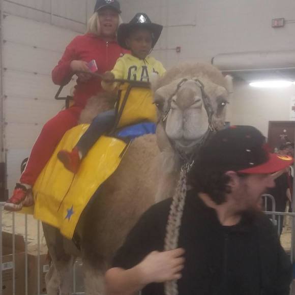 Meet your Posher, Bailee - Picture 1 of 1